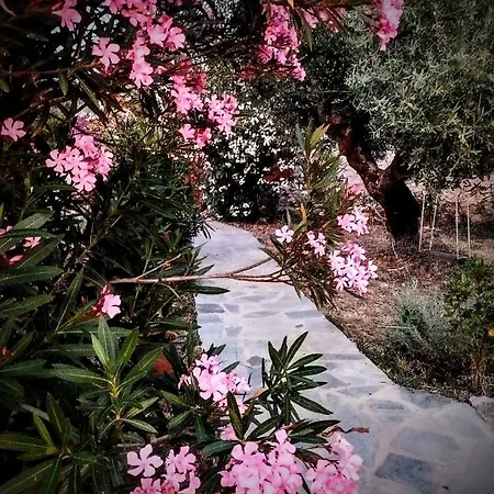Neraida House * Ellinikón