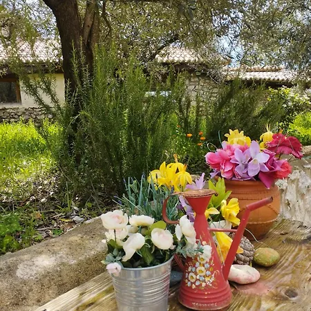 Neraida House * Ellinikón