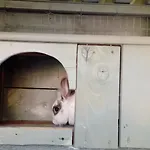Hébergement de vacances Sofias