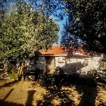 Sofias Hébergement de vacances *