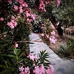 Sofias * Elliniko (Arcadia)