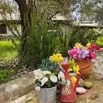 Sofias * Elliniko (Arcadia)