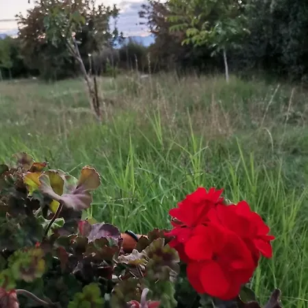 Sofias Elliniko (Arcadia)