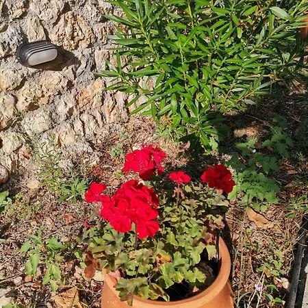 Sofias Holiday home Elliniko (Arcadia)
