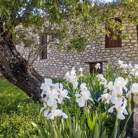 Feriehus Neraida House
